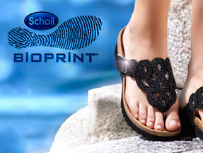  - Scholl