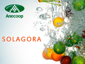  - Anecoop