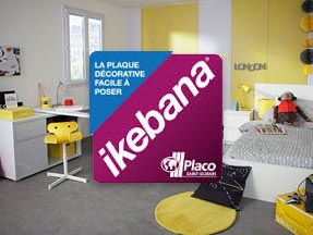  - Placoplatre
